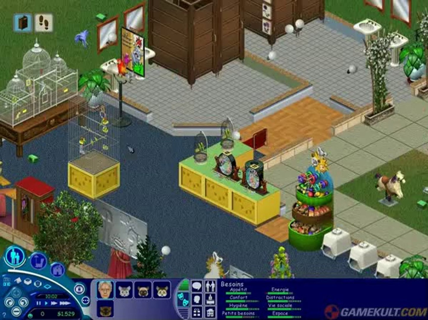 Les Sims Entre Chiens Et Chats Visite à Lanimalerie