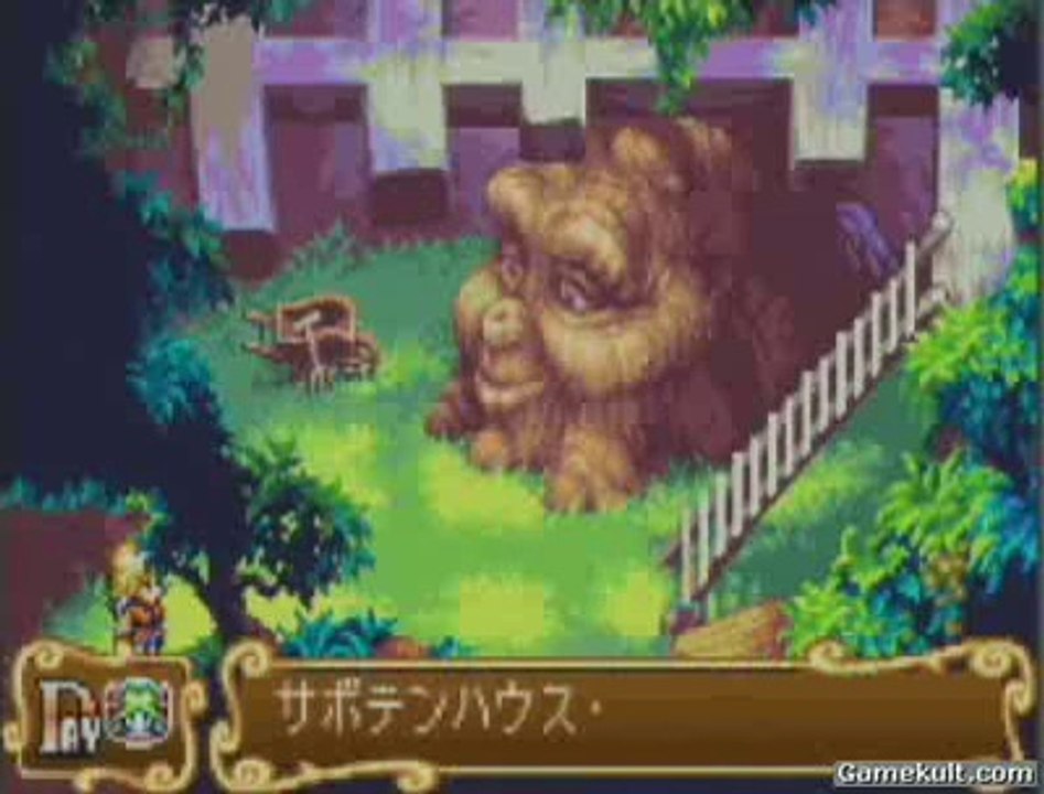 Sword of Mana - La maison cactus
