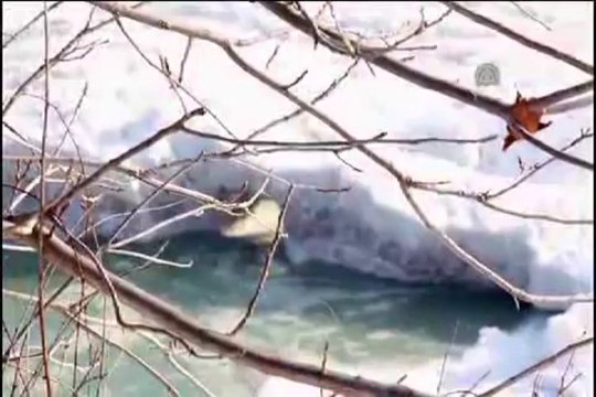 Niagara Şelalesi buz tuttu