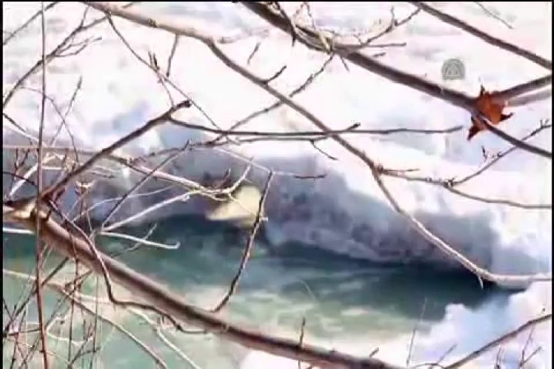 Niagara Şelalesi buz tuttu