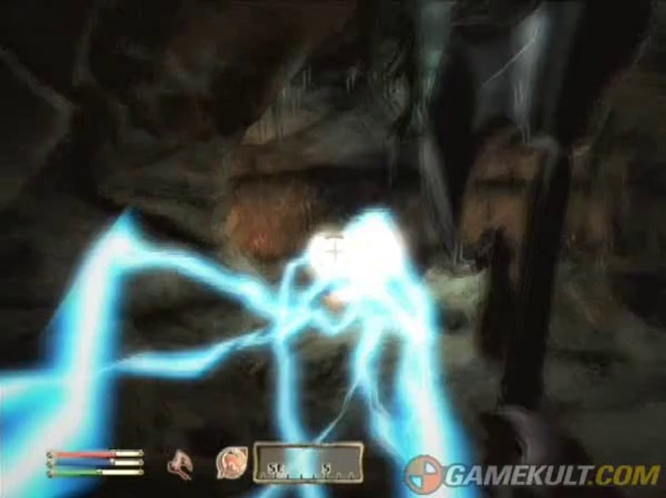 The Elder Scrolls IV : Oblivion - Baston !!!!