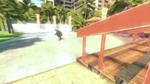 Skate 3 - Danny Way's Hawaiian Dream