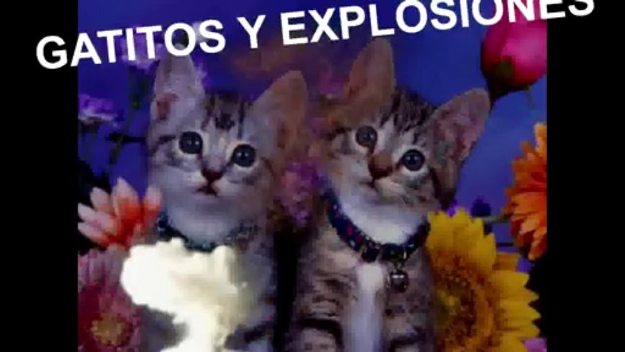 Este es el canal de JavieraTTor