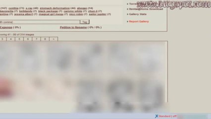 Descargar múltiples imágenes con 2 complementos de Firefox