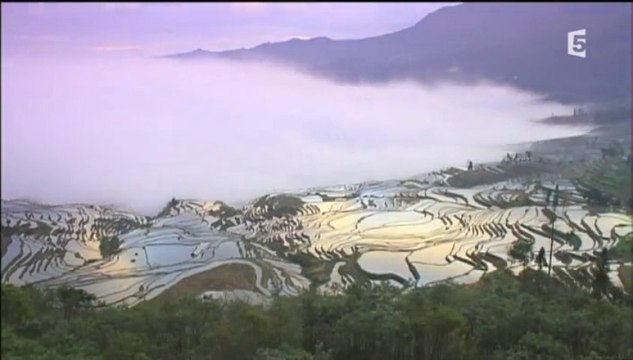 Le peuple des rizières