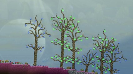 Starbound - Biome Diversity