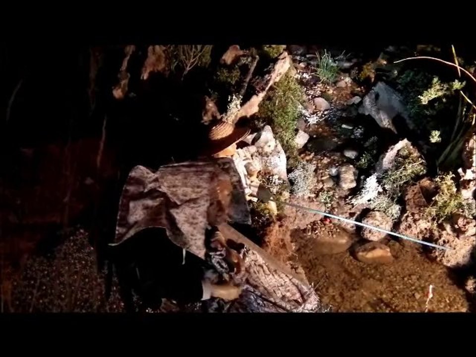 CRECHE DE ST SATURNIN LES AVIGNON 2013