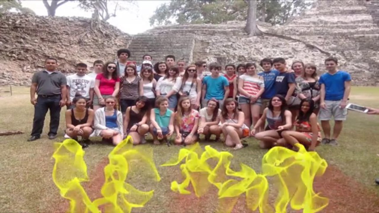 Réaction Audio  Le Film