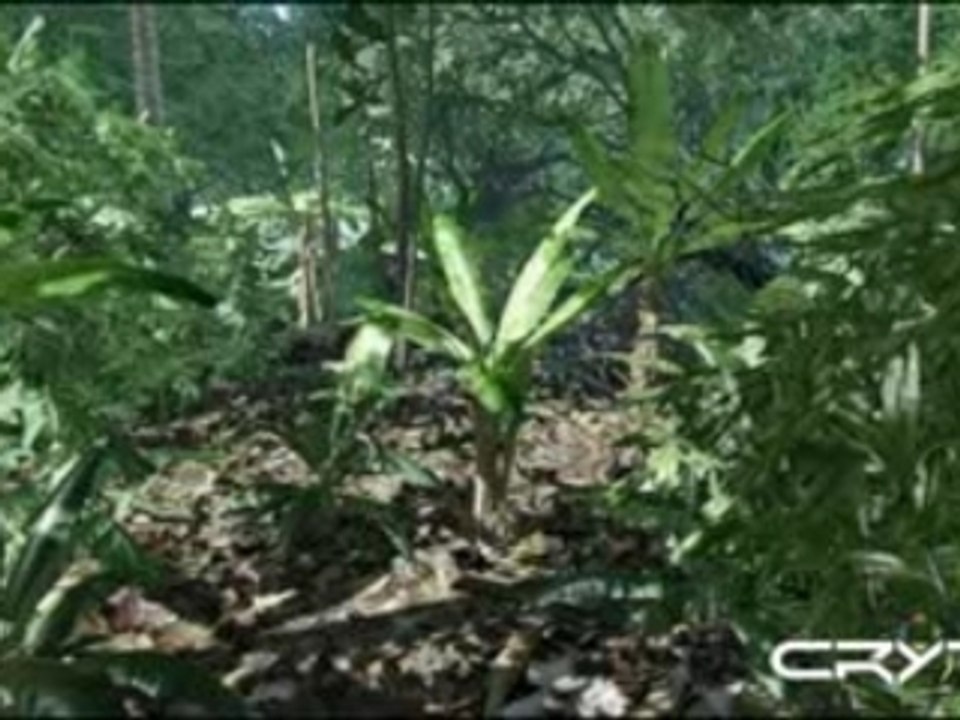 169_crysis_ot_pc_032806