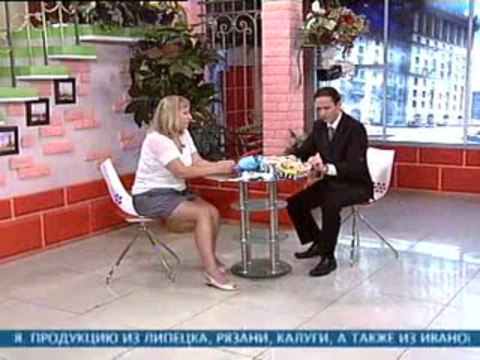 одежда для собак