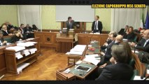 M5S Senato, l'elezione del nuovo capogruppo - diretta streaming - MoVimento 5 Stelle
