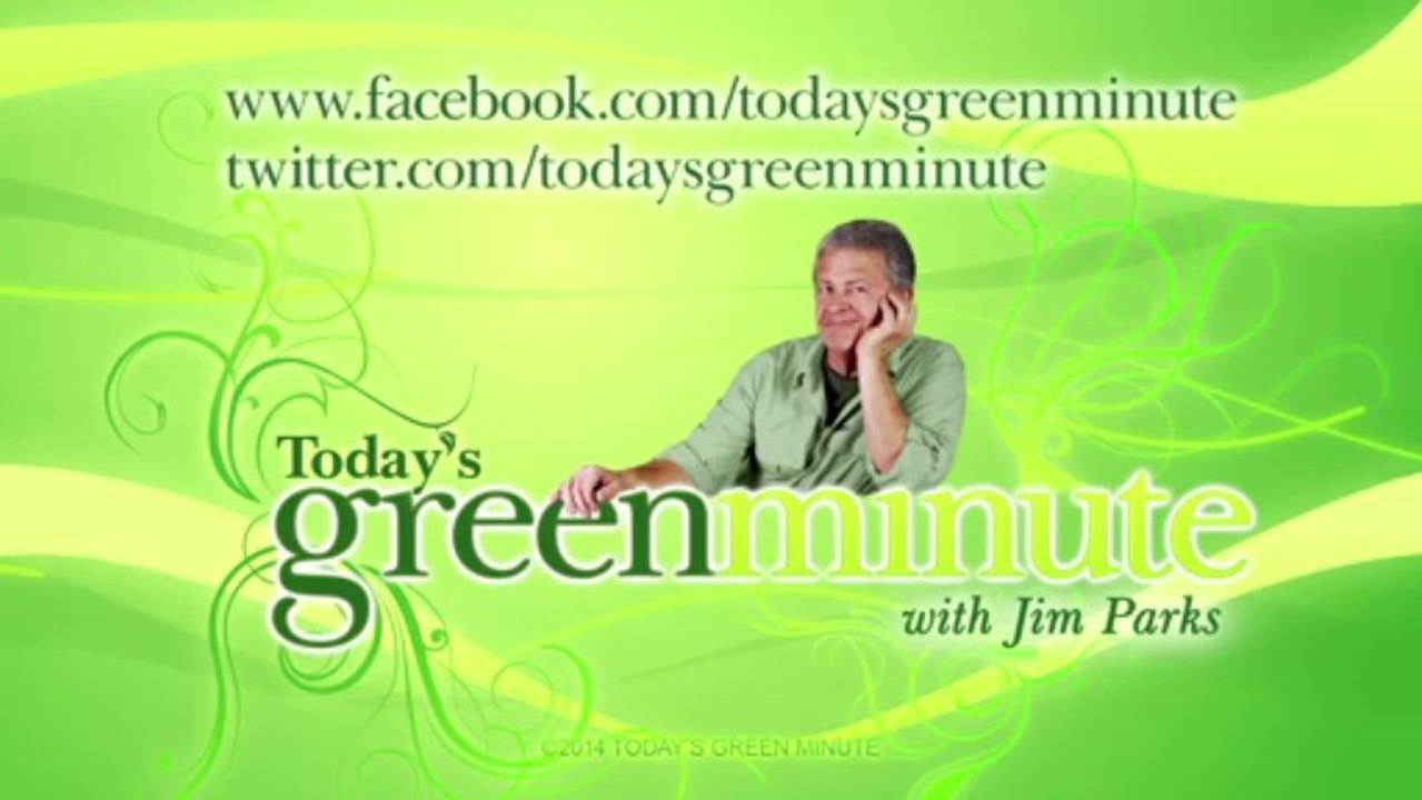 Today’s Word is: “Graphene!”