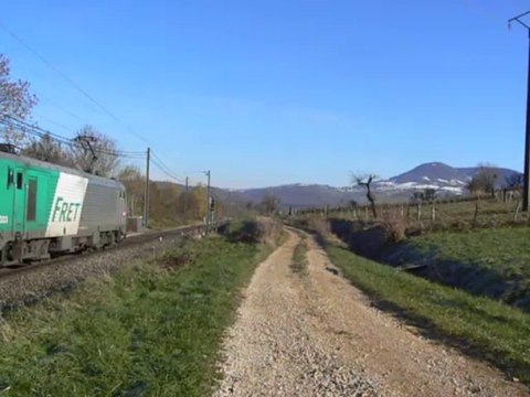 Fret de céréales pour Vallorbe, avec la BB 26222 et BB 27033 à Aiglepierre