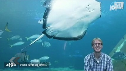 Travail: Indécis, il teste 52 jobs en 1 an