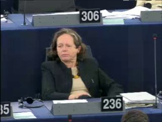 Session Plénière du 11 décembre 2013