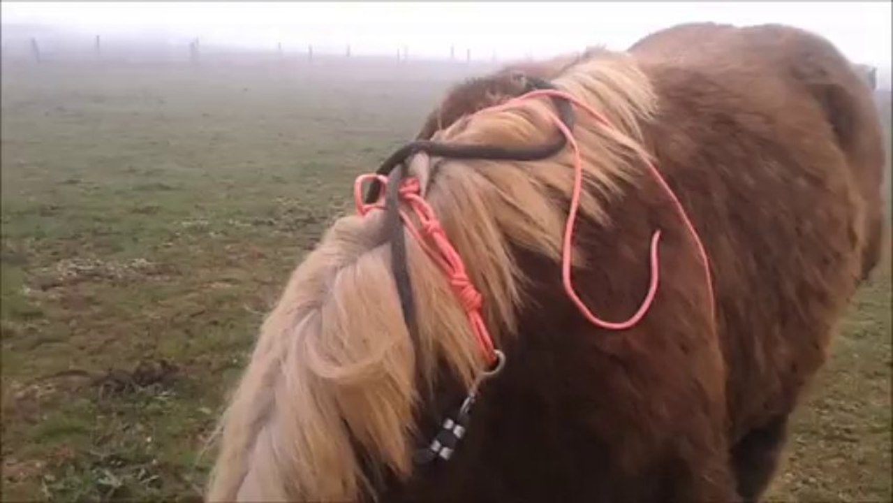 dune et danette apprentissage