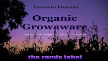 FNW - Iplanted Apollos Watered Godgave Thegrowth (PCu #Chillout #Ambient Mix)