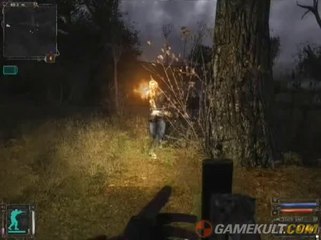 S.T.A.L.K.E.R. : Shadow of Chernobyl - Carnage chez les bandits