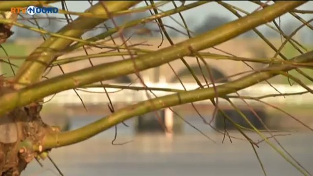 Voet- en fietspont bij Aduarderzijl gaat door - RTV Noord