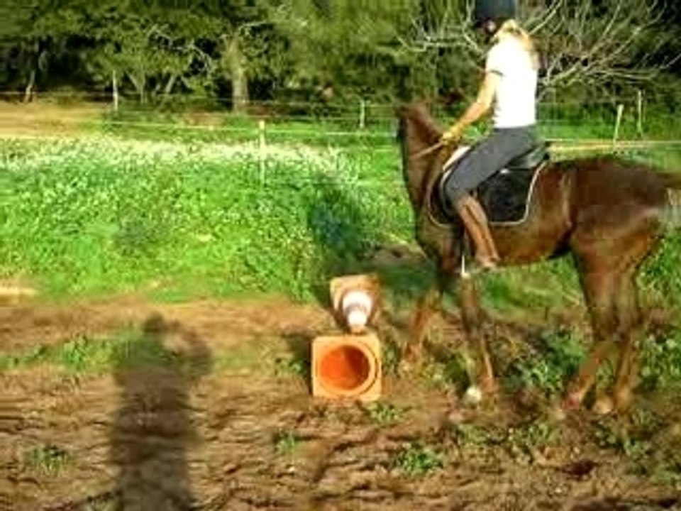 ma juju qui veut pas sauter