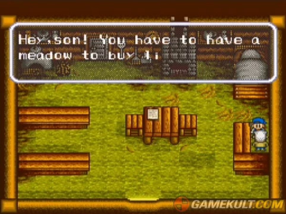 Harvest Moon - Hey son!