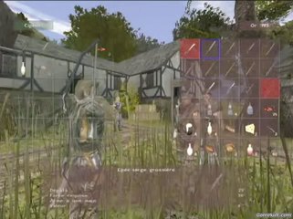 Gothic II - Le voleur d'herbe