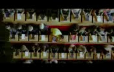 ring vashikaran 9815432022