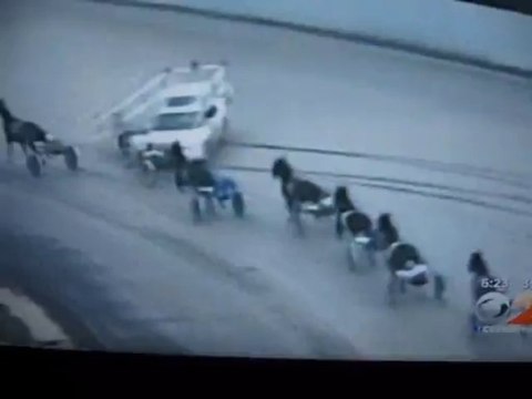 Accident at Freehold Raceway track involving horses and a pace car