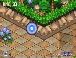 Sonic 3D Flickies' Island - Sonic sur roulettes