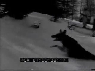 Occupazione di Mentone - Documentari - Scheda video - Cinecittà Luce - Senato della Repubblica