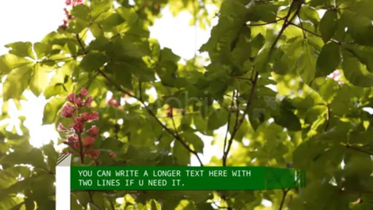 Lower And Upper Third - After Effects Template