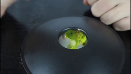 10 incroyables illusions