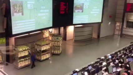 משלחת פרחים חלק 3 פרחי רון