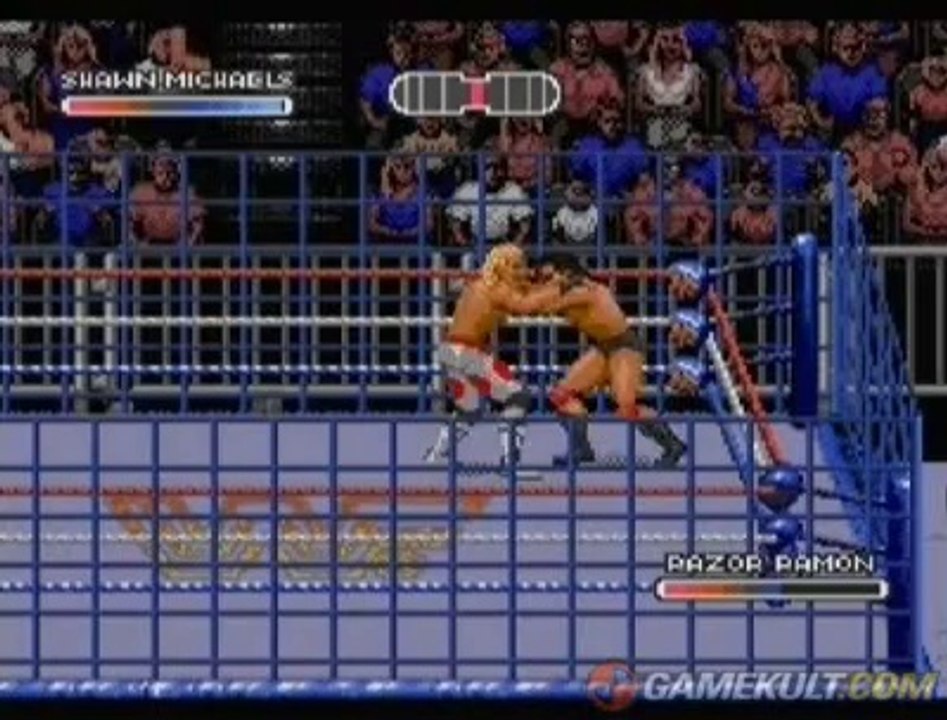WWF Rage in the Cage - La rage dans la cage