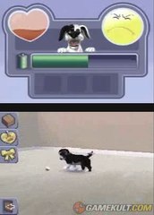 Les Sims 2 : Mes Petits Compagnons - Let's play baballe