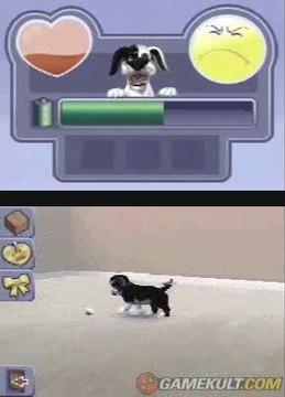 Les Sims 2 : Mes Petits Compagnons - Let's play baballe