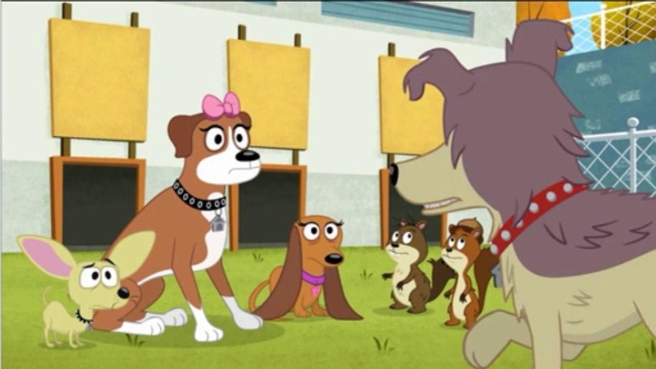 PP 3x26 - Lucky Has To Move