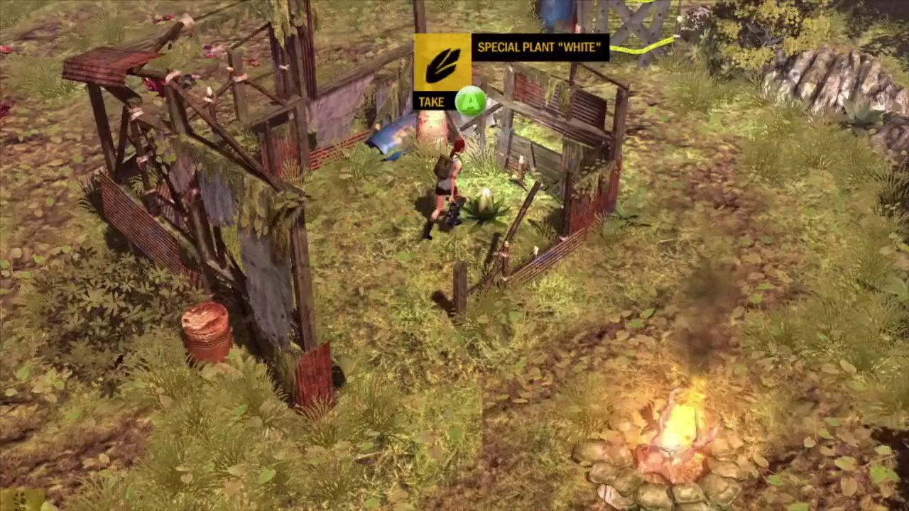 How to Survive - Kovac's Rules