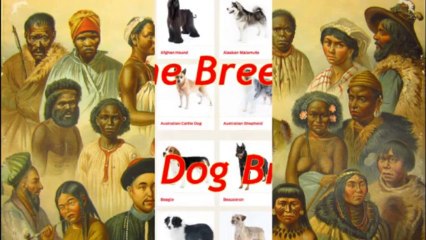 13 Ignorant Assertions of Racial Denialists