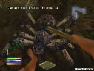 Arx Fatalis - Araignées