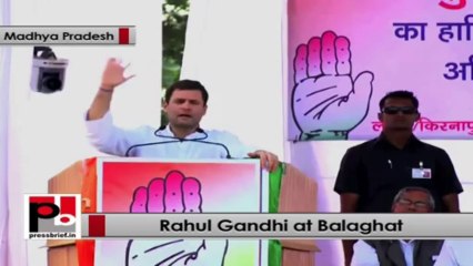Rahul Gandhi: There are charges of corruption against many BJP ministers in MP
