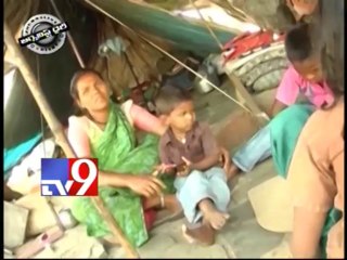 Journalist Diary - 11-01-2014