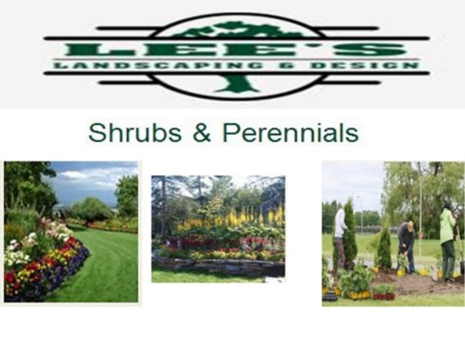 Lee's Landscaping & Design, Inc. In Hopkins