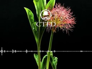 CMA - You're Not Alone