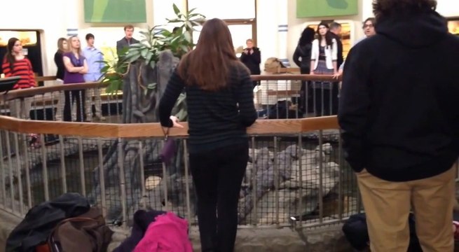 Quand le choeur d'une Université se produit au milieu des crocodiles... Zoo de Cincinnati!!