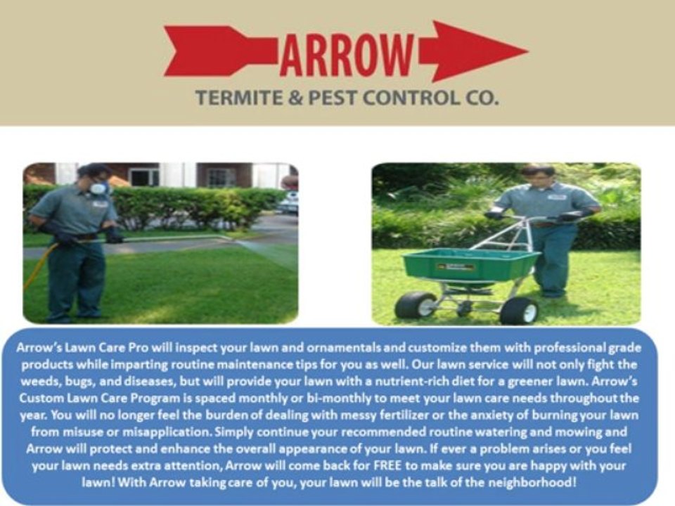 Arrow Pest Control termite treatment