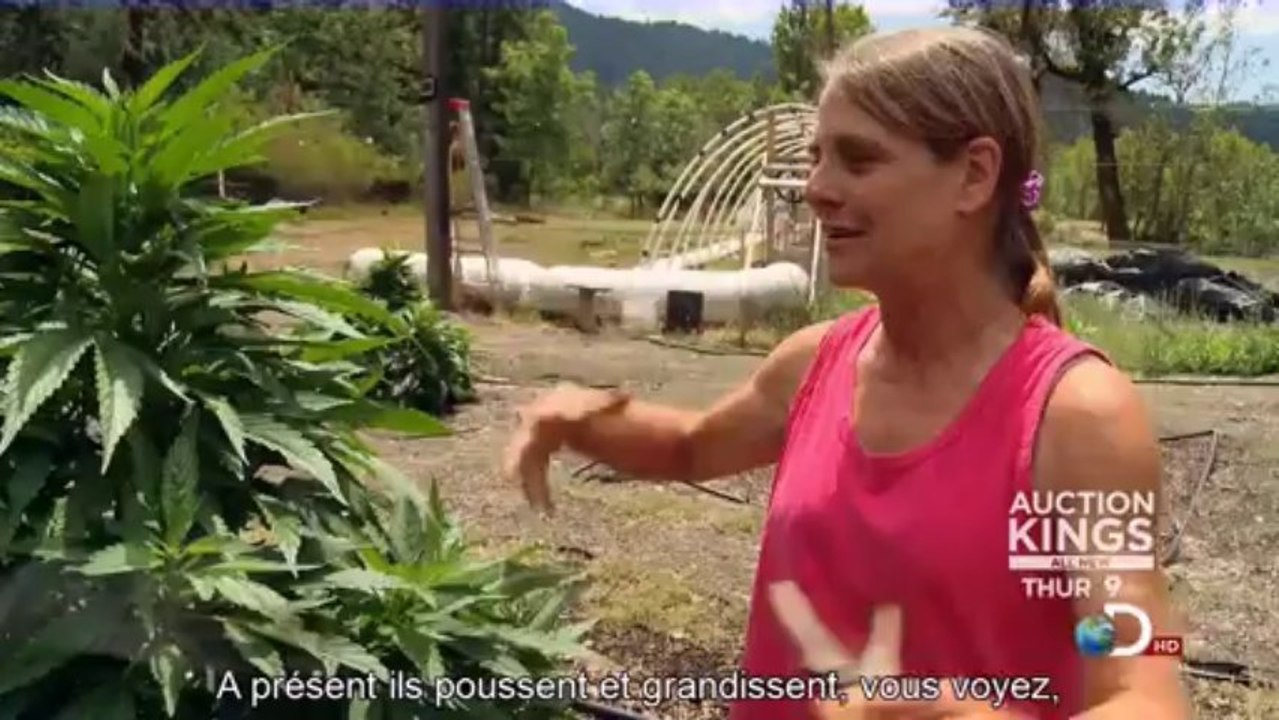 Weed Country Episode 2