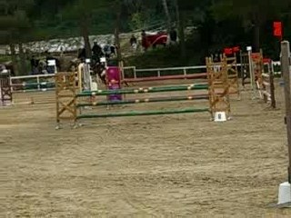 D1P - Dixone d'Entrammes