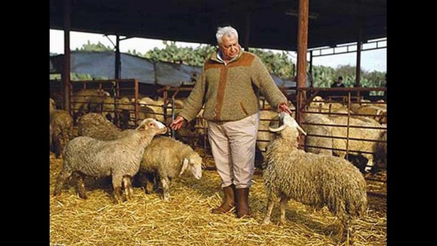 אריאל שרון הכאב והדמעות שלכם קדיש לאורך הים עפרה חזה 2014