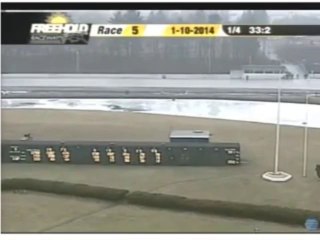 Car Proves Horses Are Much More Reliable